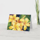 Search for banana cards Hibiscus
