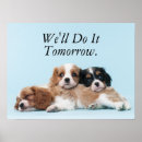 Search for cavalier king charles spaniel posters Dog