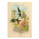 Search for turquoise flowers posters Green
