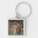 Search for torso key rings Nature