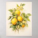 Search for refresh posters Citrus