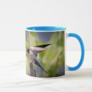 Search for barn swallow mugs Bird