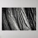 Search for tribe posters Nature