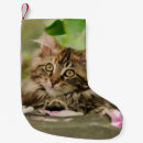 Search for tabby cat christmas stockings Kitten