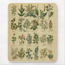 Search for herbal mousepads Herbs