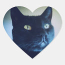 Search for pet portraits stickers Kitty
