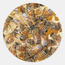 Search for apiculture stickers Beehive
