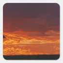 Search for acacia stickers Africa