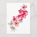 Search for leis postcards Tropical