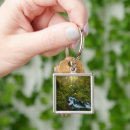 Search for hoh key rings Forest