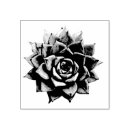 Search for plant rubber stamps Desert