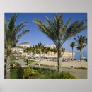 Search for muscat art Walter bibikow