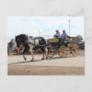 Search for pinto postcards Equine