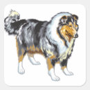 Search for rough collie stickers Canine