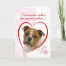 Search for english bulldog valentines day cards Pet