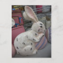 Search for easter stamps postcards Rabbit