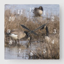 Search for canadian clocks Wildlife