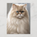 Search for cat breeds postcards Pet