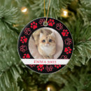 Search for cat in frame christmas tree decorations Simple