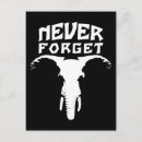 Search for elephants never forget postcards Memory