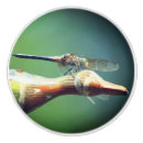 Search for the dragonfly knobs and pulls Cute