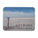 Search for salt rectangular magnets Souvenir