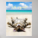 Search for cute baby animals posters Ocean
