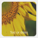 Search for flower petals stickers Nature