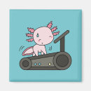 Search for salamanders magnets Kawaii