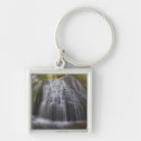 Search for bridgeman key rings Nature
