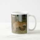 Search for cat zodiac mugs Horoscope