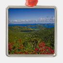 Search for tropical island christmas tree decorations Flora