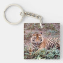 Search for zoo animals key rings Wild