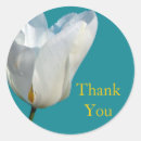 Search for white tulips stickers Flower