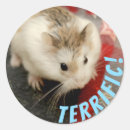 Search for terrific stickers Cute