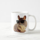 Search for chinchilla coffee mugs Animals