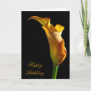 Search for arum cards Lily