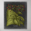 Search for chalkboard print posters Leaf