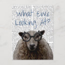 Search for ewe postcards Sheep