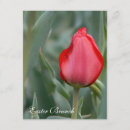 Search for red egg invitations Flowers