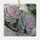 Search for succulents christmas tree decorations Southwest