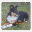 Search for tri stickers Collie