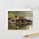 Search for pine marten postcards Nature