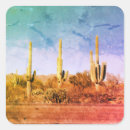 Search for arizona desert stickers Southwestern