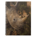 Search for rhino notebooks Wildlife