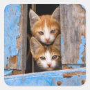 Search for vintage kittens stickers Cute