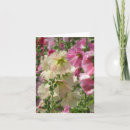 Search for hollyhock cards Nature