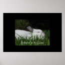 Search for easter bunny posters art Grass