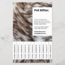 Search for vets flyers Pet sitter