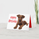 Search for cute airedale cards Puppy